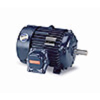 NEMA Premium Blue Chip® XRI 15 to 100 Horsepower (hp) Inverter-Duty Alternating Current (AC) Motor