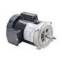 Centrifugal Jet Pump 1 Phase Alternating Current (AC) Motor